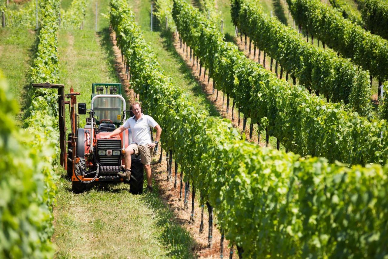 Weingut-Gastezimmer Uhl Ratsch an der Weinstrasse Bagian luar foto