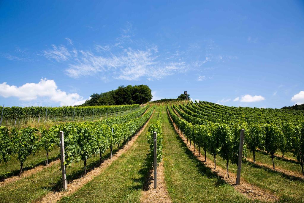 Weingut-Gastezimmer Uhl Ratsch an der Weinstrasse Bagian luar foto